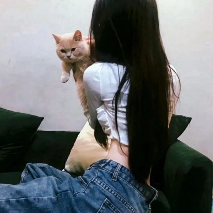 婆婆和妈妈升级版